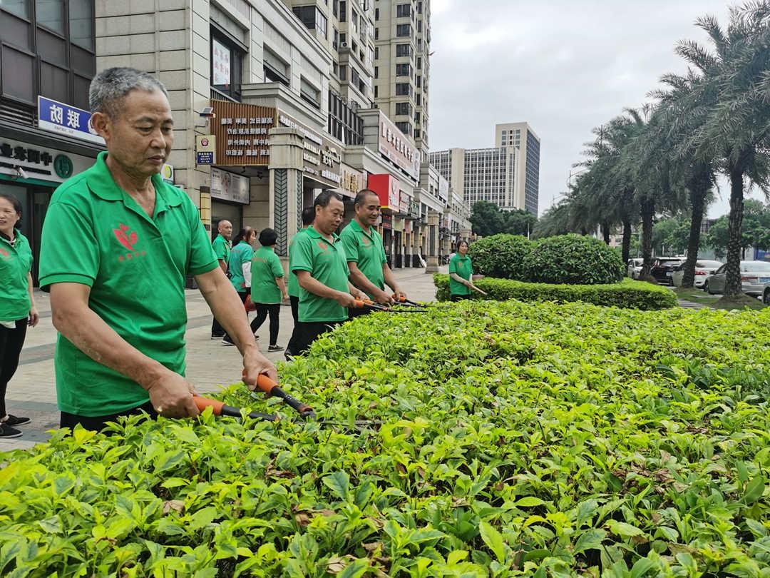 园林绿化公司工人修剪