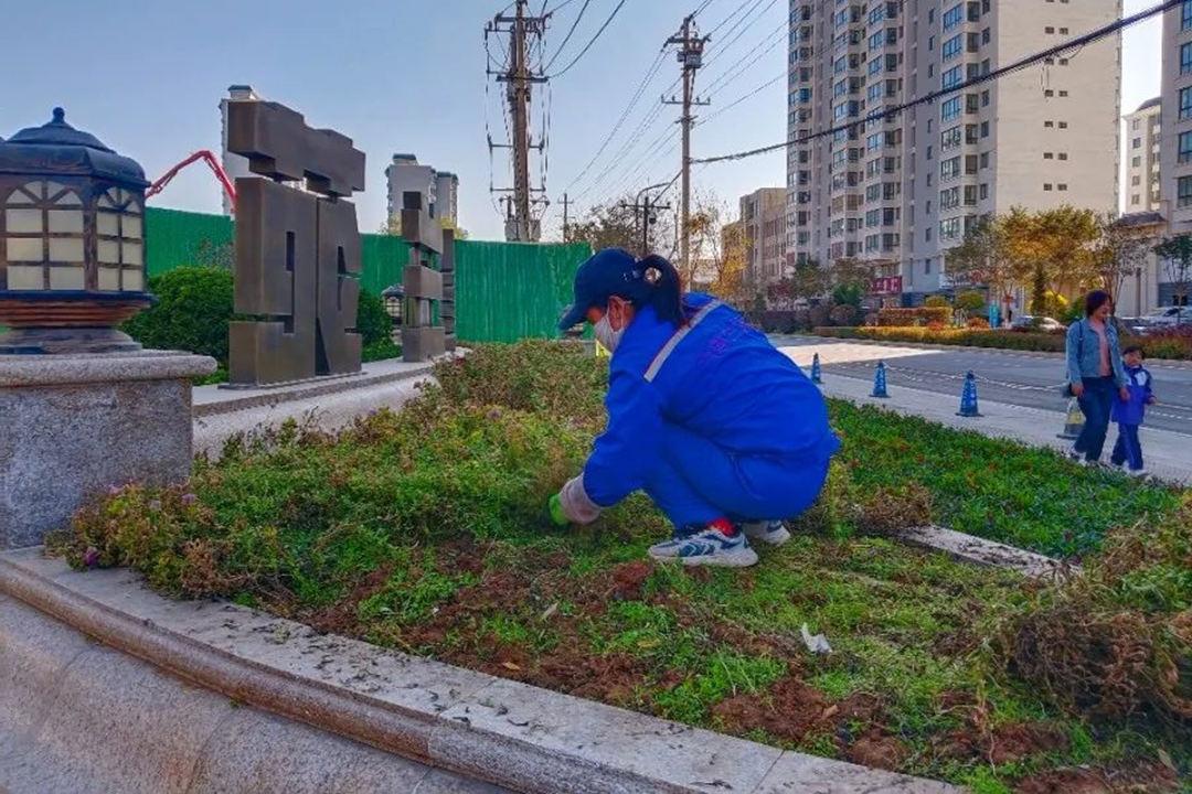 道路绿化养护